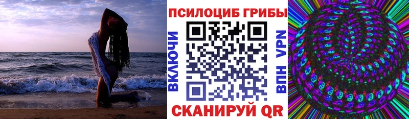 Купить закладки  Макушино  Псилоцибиновые грибы GOLDEN TEACHER 
